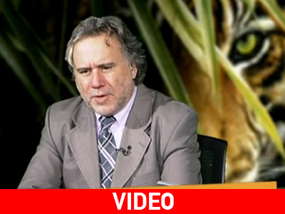 Ο Συνταγματολόγος  Γιώργος Κατρούγκαλος στη Ζούγκλα TV